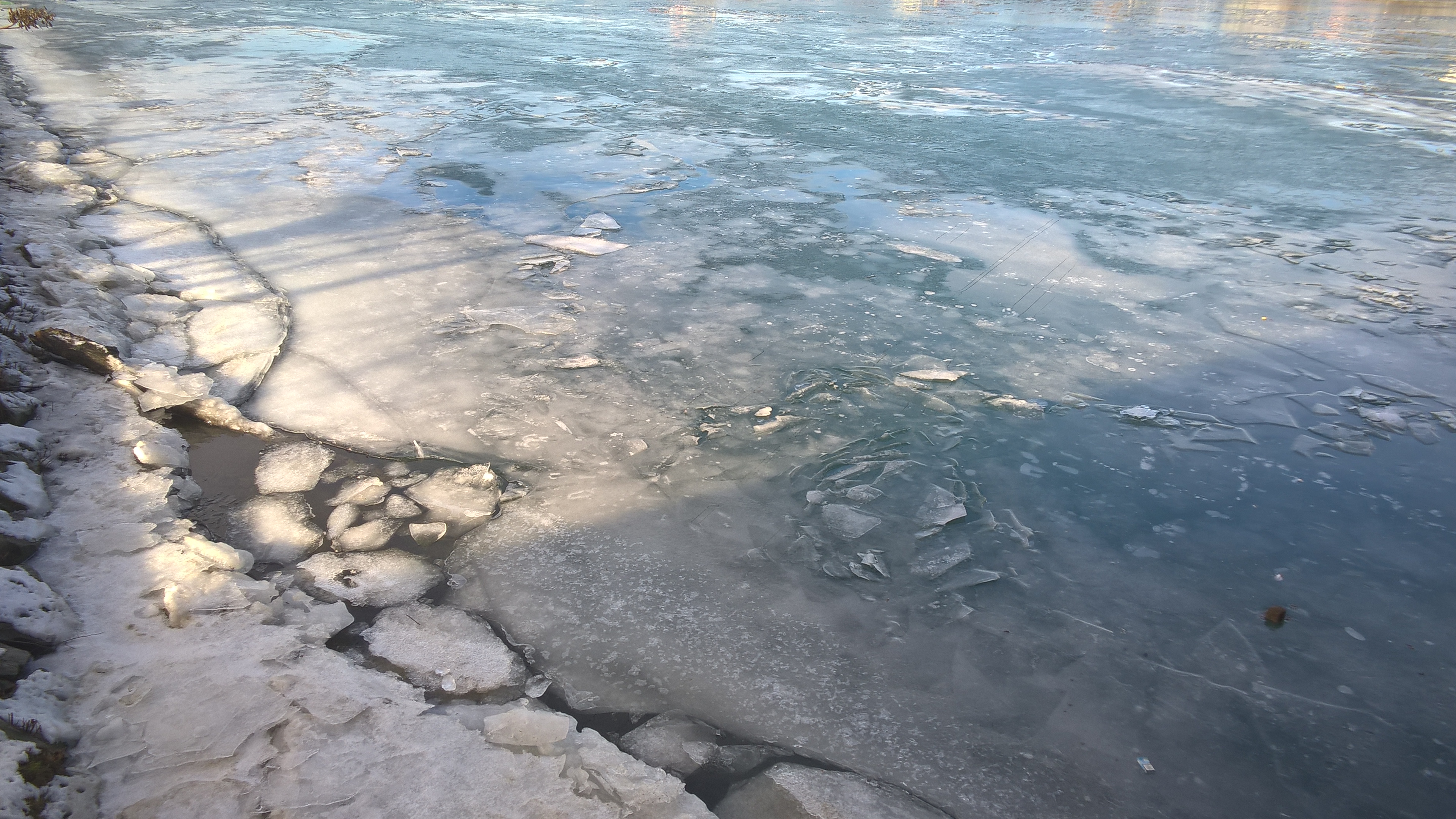 WP_20170203_11_00_14_Pro